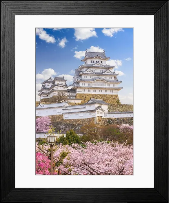 Framed Print : Himeji, Japan at Himeji Castle during spring cherry blossom season Framed Print : Himeji, Japan at Himeji Castle during spring cherry blossom season