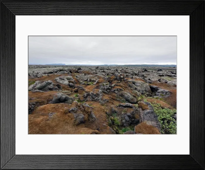 Framed Print : Moss field in Iceland Framed Print : Moss field in Iceland