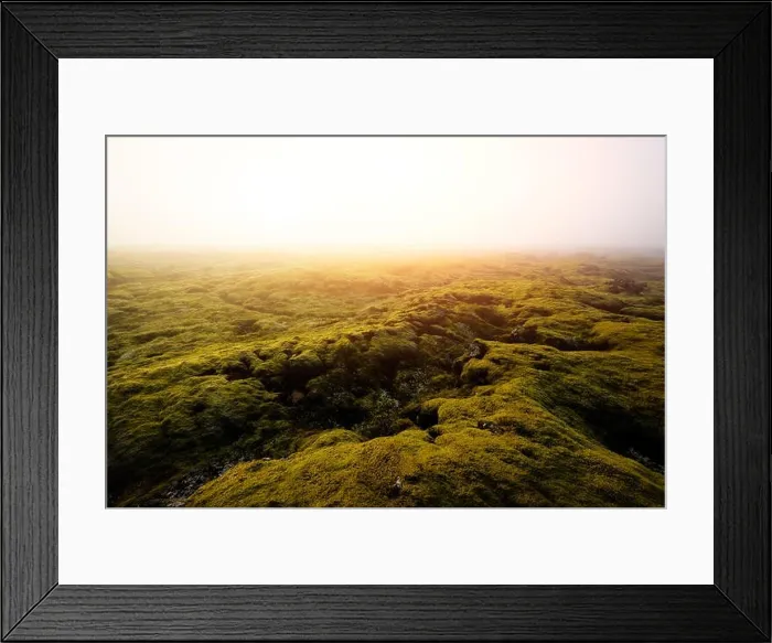 Framed Print : Moss field in Iceland Framed Print : Moss field in Iceland