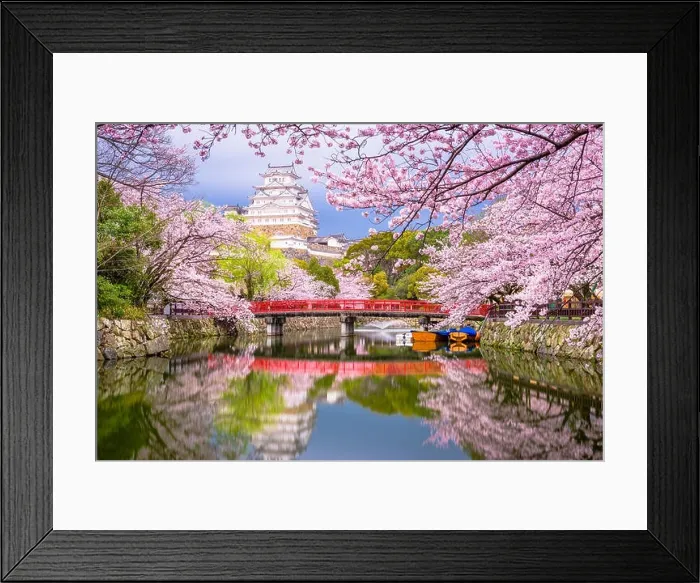 Framed Print : Himeji, Japan at Himeji Castle's surrounding moat in the spring season Framed Print : Himeji, Japan at Himeji Castle's surrounding moat in the spring season