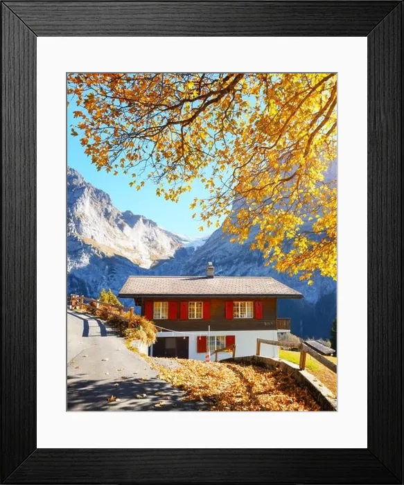 Framed Print : Picturesque autumn landscape in Switzerland mountains. Traditional wooden house and yellow leaves in Grindelwald village, Swiss Alps Framed Print : Picturesque autumn landscape in Switzerland mountains. Traditional wooden house and yellow leaves in Grindelwald village, Swiss Alps