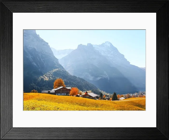 Framed Print : Picturesque autumn landscape in Switzerland mountains. Yellow leaves and wooden houses in Grindelwald village in Swiss Alps Framed Print : Picturesque autumn landscape in Switzerland mountains. Yellow leaves and wooden houses in Grindelwald village in Swiss Alps