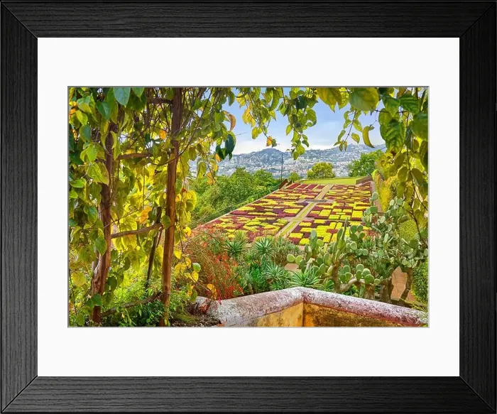 Framed Print : Botanical Gardens, Funchal, Madeira Island, Portugal Framed Print : Botanical Gardens, Funchal, Madeira Island, Portugal