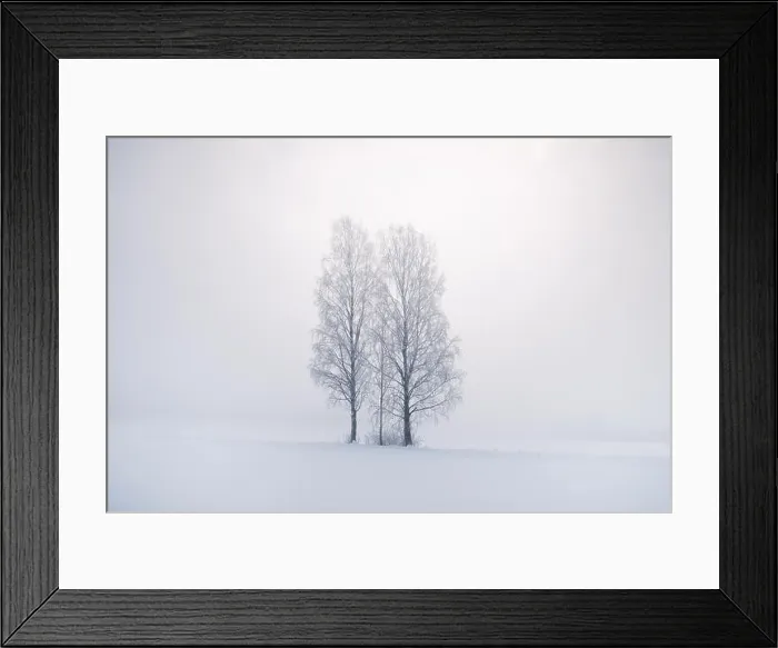 Framed Print : Misty landscape with trees and fog at winter morning in Finland Framed Print : Misty landscape with trees and fog at winter morning in Finland