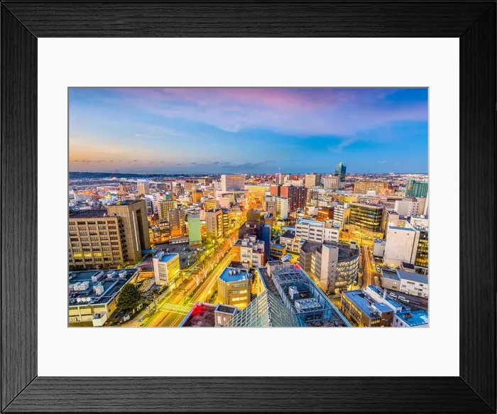 Framed Print : Toyama City, Japan downtown skyline Framed Print : Toyama City, Japan downtown skyline