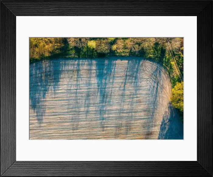 Framed Print : Beautiful spring field and Trees on border landscape. Sunny sunshine Day. Long Woods Shadows. Aerial View Amazing country Landscape Scenic View Of Framed Print : Beautiful spring field and Trees on border landscape. Sunny sunshine Day. Long Woods Shadows. Aerial View Amazing country Landscape Scenic View Of