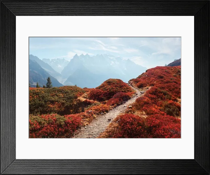 Framed Print : Amazing view on Monte Bianco mountains range with with Monblan on background. Vallon de Berard Nature Preserve, Chamonix, Graian Alps Framed Print : Amazing view on Monte Bianco mountains range with with Monblan on background. Vallon de Berard Nature Preserve, Chamonix, Graian Alps