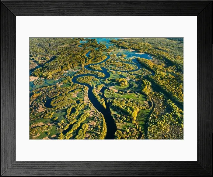 Framed Print : Aerial View Green Forest Woods And River Landscape In Sunny Spring Summer Day. Top View Of Nature, Bird's Eye View. Trees Standing In Water During Framed Print : Aerial View Green Forest Woods And River Landscape In Sunny Spring Summer Day. Top View Of Nature, Bird's Eye View. Trees Standing In Water During