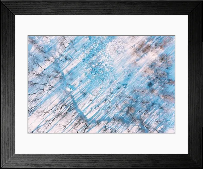Framed Print : Beautiful Snowy White Frozen Frosted Trees Park In Winter Sunny Frosty Day. Long Woods Shadows. Aerial View Amazing Forest. Landscape Scenic View Of Framed Print : Beautiful Snowy White Frozen Frosted Trees Park In Winter Sunny Frosty Day. Long Woods Shadows. Aerial View Amazing Forest. Landscape Scenic View Of
