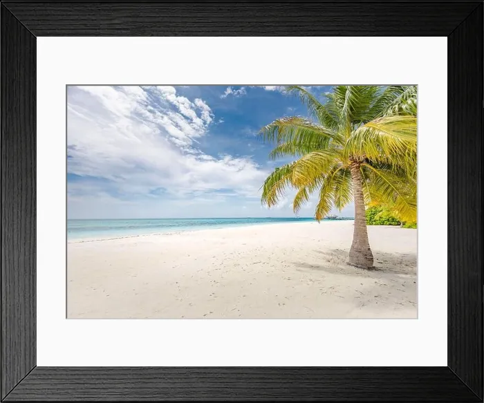 Framed Print : Beautiful tropical beach with white sand, palm trees, turquoise ocean against blue sky with clouds on sunny summer day. Perfect landscape background Framed Print : Beautiful tropical beach with white sand, palm trees, turquoise ocean against blue sky with clouds on sunny summer day. Perfect landscape background