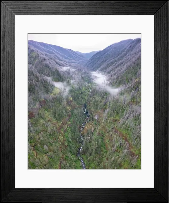 Framed Print : A scenic river flows through a slot canyon and into the Columbia River Gorge, Oregon. This beautiful area is known for its waterfalls and forests Framed Print : A scenic river flows through a slot canyon and into the Columbia River Gorge, Oregon. This beautiful area is known for its waterfalls and forests