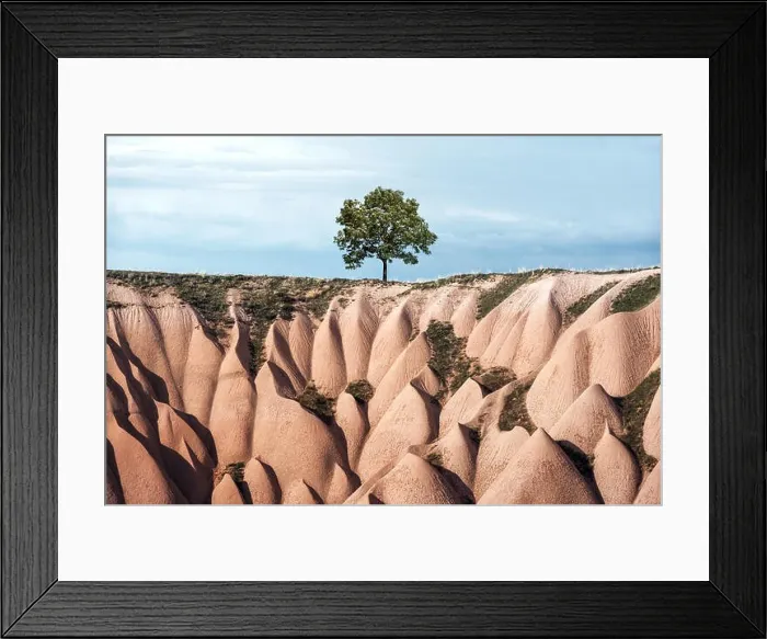 Framed Print : Alone tree in amazing hills in Cappadocia mountains, Turkey. Landscape photography Framed Print : Alone tree in amazing hills in Cappadocia mountains, Turkey. Landscape photography