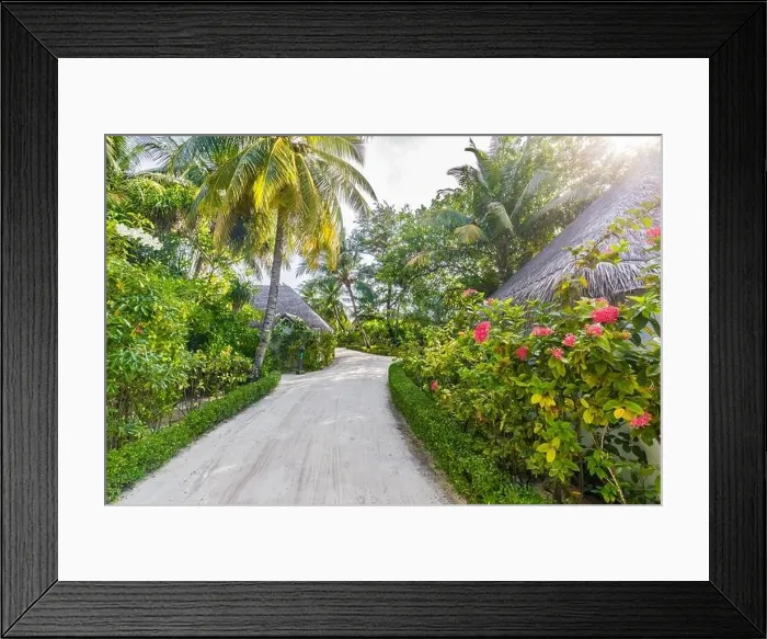 Framed Print : Beach bungalows in Maldives. Tropical floral garden and palm trees with sun rays. Exotic resort hotel destination. Tranquil relaxing pathway scenery Framed Print : Beach bungalows in Maldives. Tropical floral garden and palm trees with sun rays. Exotic resort hotel destination. Tranquil relaxing pathway scenery