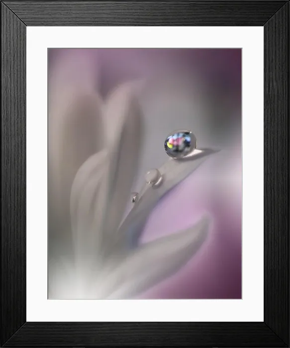 Framed Print : Beautiful Spring Nature Background.Abstract Macro Photography.Artistic closeup concept.Web Banner for design and website.Amazing Colorful Wallpaper Framed Print : Beautiful Spring Nature Background.Abstract Macro Photography.Artistic closeup concept.Web Banner for design and website.Amazing Colorful Wallpaper