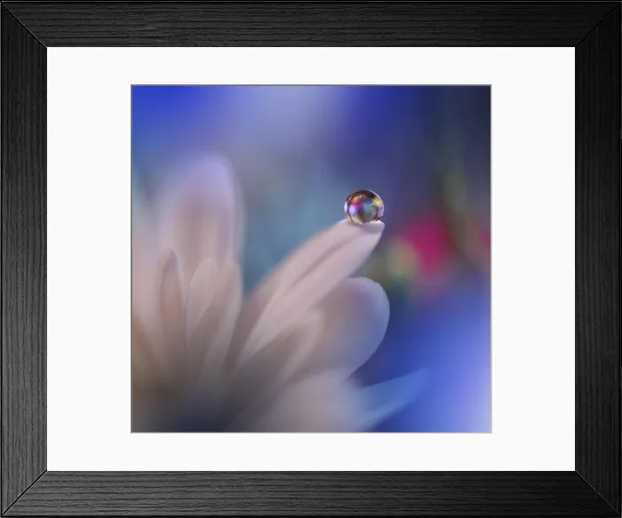 Framed Print : Beautiful Spring Nature Background.Abstract Macro Photography.Artistic closeup concept.Web Banner for design and website.Amazing Colorful Wallpaper Framed Print : Beautiful Spring Nature Background.Abstract Macro Photography.Artistic closeup concept.Web Banner for design and website.Amazing Colorful Wallpaper