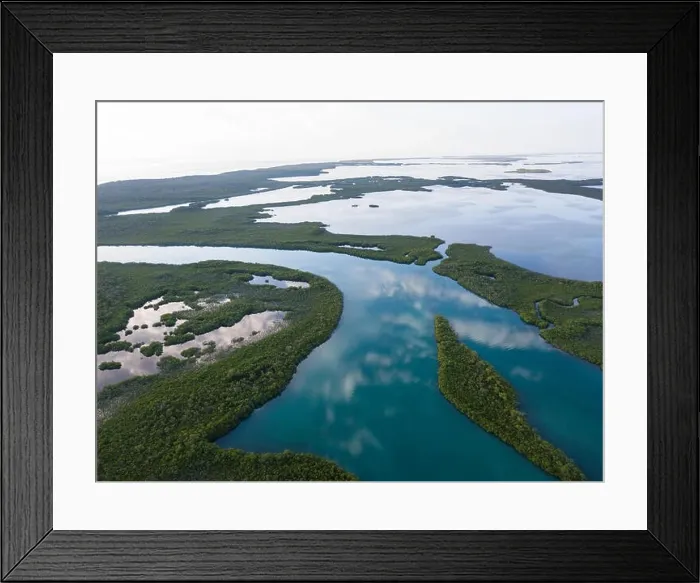 Framed Print : An aerial view of mangroves and the calm lagoon inside Turneffe Atoll off the coast of Belize. This area of the Caribbean is extremely biodiverse Framed Print : An aerial view of mangroves and the calm lagoon inside Turneffe Atoll off the coast of Belize. This area of the Caribbean is extremely biodiverse