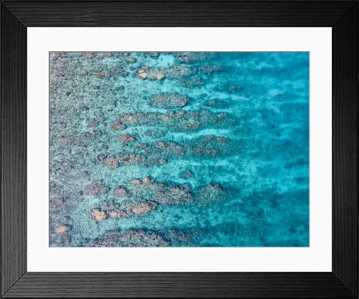 Framed Print : An aerial view of a beautiful coral reef on the edge of Turneffe Atoll off the coast of Belize. This area of the Caribbean is extremely biodiverse Framed Print : An aerial view of a beautiful coral reef on the edge of Turneffe Atoll off the coast of Belize. This area of the Caribbean is extremely biodiverse