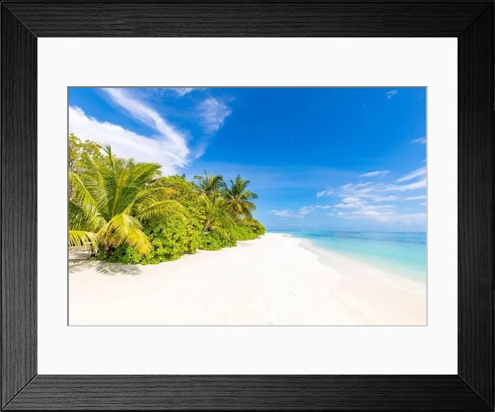 Framed Print : Tropical beach panorama view, summer landscape, palm trees and white sand, horizon of calm sea for beach banner. Relax nature of beach scene, vacation Framed Print : Tropical beach panorama view, summer landscape, palm trees and white sand, horizon of calm sea for beach banner. Relax nature of beach scene, vacation