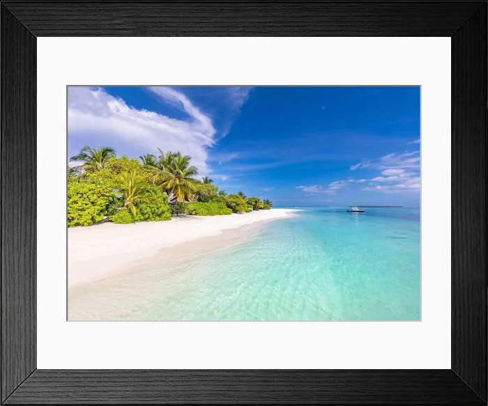 Framed Print : Tropical beach panorama view, summer landscape, palm trees and white sand, horizon of calm sea for beach banner. Relax nature of beach scene, vacation Framed Print : Tropical beach panorama view, summer landscape, palm trees and white sand, horizon of calm sea for beach banner. Relax nature of beach scene, vacation
