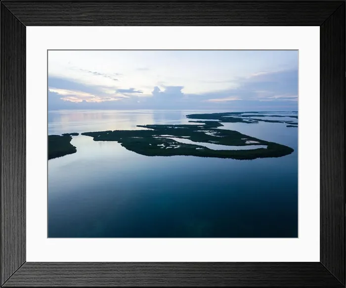 Framed Print : An aerial view shows extensive mangroves in Turneffe Atoll off the coast of Belize. Mangroves provide vital habitat for many fish and invertebrates Framed Print : An aerial view shows extensive mangroves in Turneffe Atoll off the coast of Belize. Mangroves provide vital habitat for many fish and invertebrates