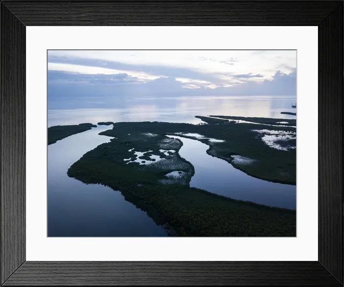 Framed Print : An aerial view shows extensive mangroves in Turneffe Atoll off the coast of Belize. Mangroves provide vital habitat for many fish and invertebrates Framed Print : An aerial view shows extensive mangroves in Turneffe Atoll off the coast of Belize. Mangroves provide vital habitat for many fish and invertebrates