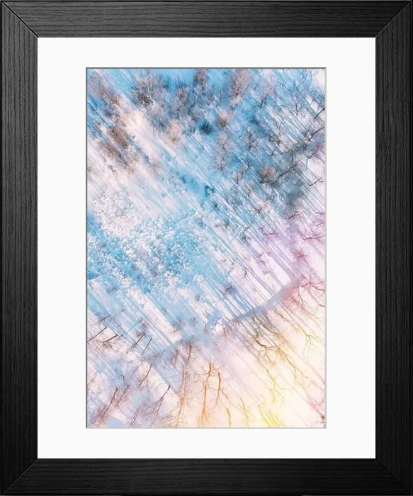 Framed Print : Beautiful Snowy White Frozen Frosted Trees Park In Winter Sunny Frosty Day. Long Woods Shadows. Aerial View Amazing Forest. Landscape Scenic View Of Framed Print : Beautiful Snowy White Frozen Frosted Trees Park In Winter Sunny Frosty Day. Long Woods Shadows. Aerial View Amazing Forest. Landscape Scenic View Of