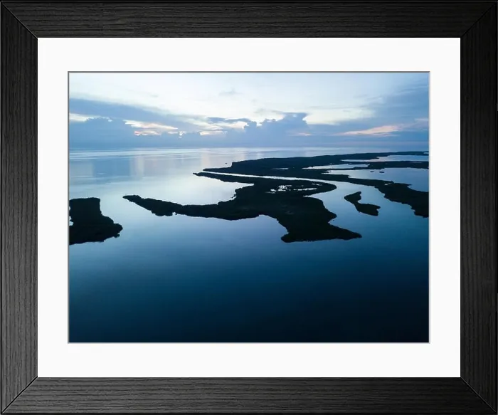Framed Print : An aerial view shows extensive mangroves in Turneffe Atoll off the coast of Belize. Mangroves provide vital habitat for many fish and invertebrates Framed Print : An aerial view shows extensive mangroves in Turneffe Atoll off the coast of Belize. Mangroves provide vital habitat for many fish and invertebrates