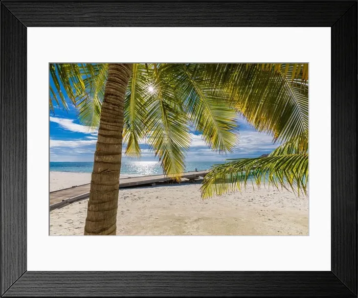 Framed Print : Palm leaves in the sun calm tropical beach landscape. Relaxing palms on the sunny beach of coral island, sun rays, beams. Exotic nature, sea view Framed Print : Palm leaves in the sun calm tropical beach landscape. Relaxing palms on the sunny beach of coral island, sun rays, beams. Exotic nature, sea view