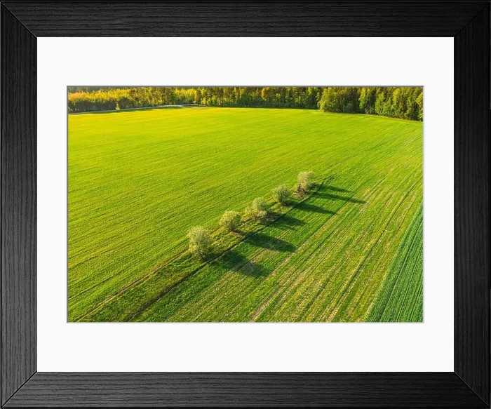 Framed Print : Aerial Top View Of Agricultural Landscape With Trees In Spring Field, Summer Meadow. Beautiful Green Grass Rural Landscape In Bird's-eye View Framed Print : Aerial Top View Of Agricultural Landscape With Trees In Spring Field, Summer Meadow. Beautiful Green Grass Rural Landscape In Bird's-eye View