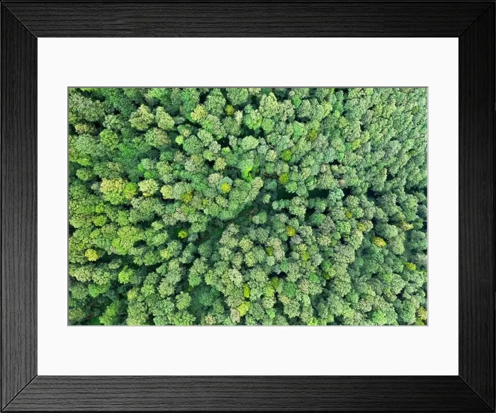 Framed Print : Aerial drone photo looking down on magical summer forest. Nature background. Landscape photography Framed Print : Aerial drone photo looking down on magical summer forest. Nature background. Landscape photography