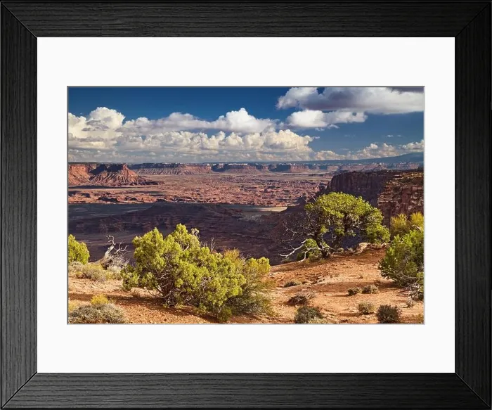 Framed Print : Island in the Sky, Canyonlands National Park, Utah, USA Framed Print : Island in the Sky, Canyonlands National Park, Utah, USA