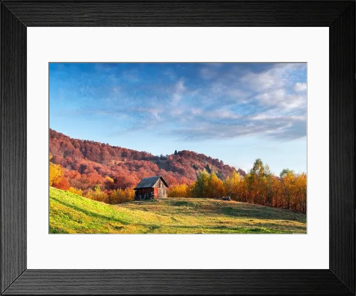 Framed Print : Picturesque autumn meadow with wooden house and red beech trees in the Carpathian mountains, Ukraine. Landscape photography Framed Print : Picturesque autumn meadow with wooden house and red beech trees in the Carpathian mountains, Ukraine. Landscape photography