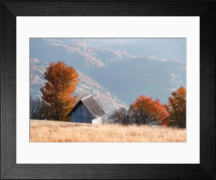 Framed Print : Picturesque autumn meadow with wooden house and red beech trees in the Carpathian mountains, Ukraine. Landscape photography Framed Print : Picturesque autumn meadow with wooden house and red beech trees in the Carpathian mountains, Ukraine. Landscape photography