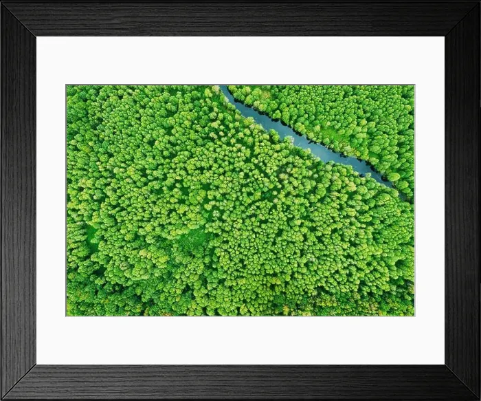 Framed Print : green forest greenery vegetaion and river, flat view aerial. Green forest And River Landscape In Top View Beautiful Nature Summer Season Framed Print : green forest greenery vegetaion and river, flat view aerial. Green forest And River Landscape In Top View Beautiful Nature Summer Season
