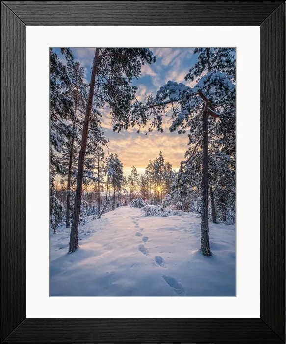 Framed Print : Scenic winter landscape with forest, sunrise and footprints at morning time in Finland