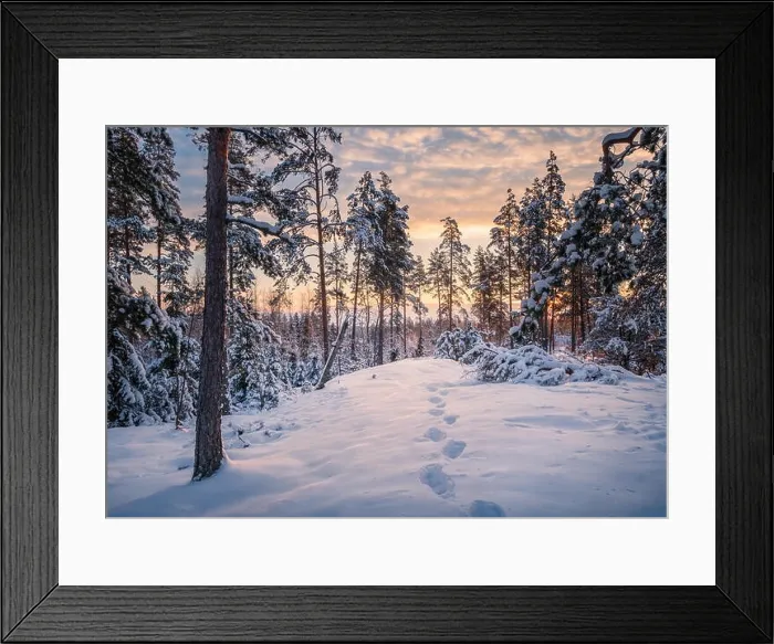 Framed Print : Scenic winter landscape with forest, sunrise and footprints at morning time in Finland Framed Print : Scenic winter landscape with forest, sunrise and footprints at morning time in Finland