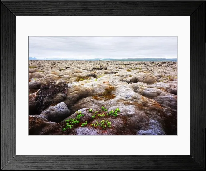 Framed Print : Extraordinary Iceland landscape with lava field covered with brown moss Eldhraun from volcano eruption and cloudy sky Framed Print : Extraordinary Iceland landscape with lava field covered with brown moss Eldhraun from volcano eruption and cloudy sky