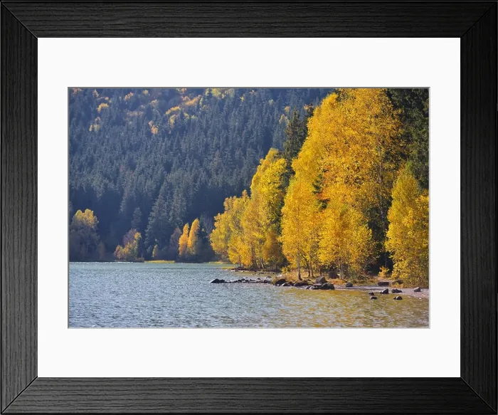 Framed Print : Autumn park landscape. The bright colors of autumn in the park by the lake Framed Print : Autumn park landscape. The bright colors of autumn in the park by the lake