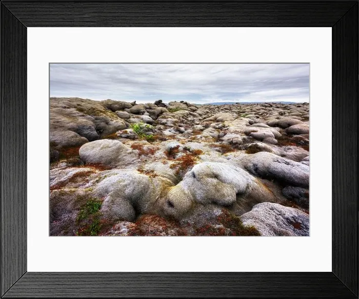 Framed Print : Iceland landscape with lava field covered with brown moss Eldhraun from volcano eruption and cloudy sky Framed Print : Iceland landscape with lava field covered with brown moss Eldhraun from volcano eruption and cloudy sky