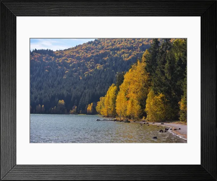 Framed Print : Autumn park landscape. The bright colors of autumn in the park by the lake Framed Print : Autumn park landscape. The bright colors of autumn in the park by the lake