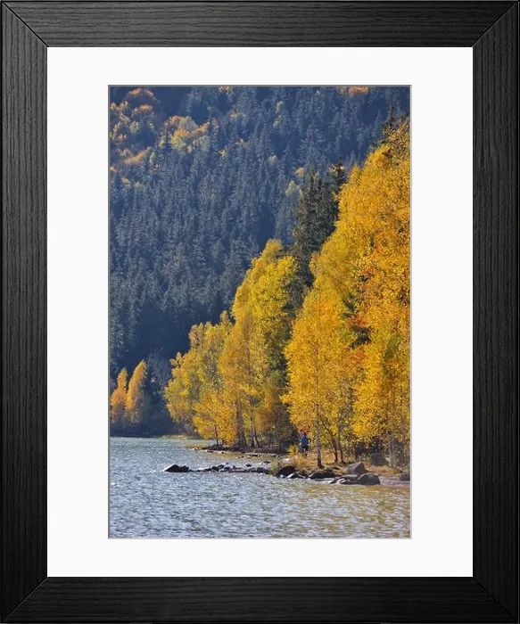 Framed Print : Autumn park landscape. The bright colors of autumn in the park by the lake Framed Print : Autumn park landscape. The bright colors of autumn in the park by the lake