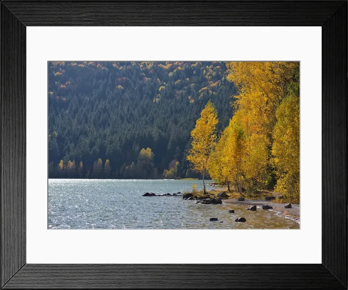 Framed Print : Autumn park landscape. The bright colors of autumn in the park by the lake Framed Print : Autumn park landscape. The bright colors of autumn in the park by the lake