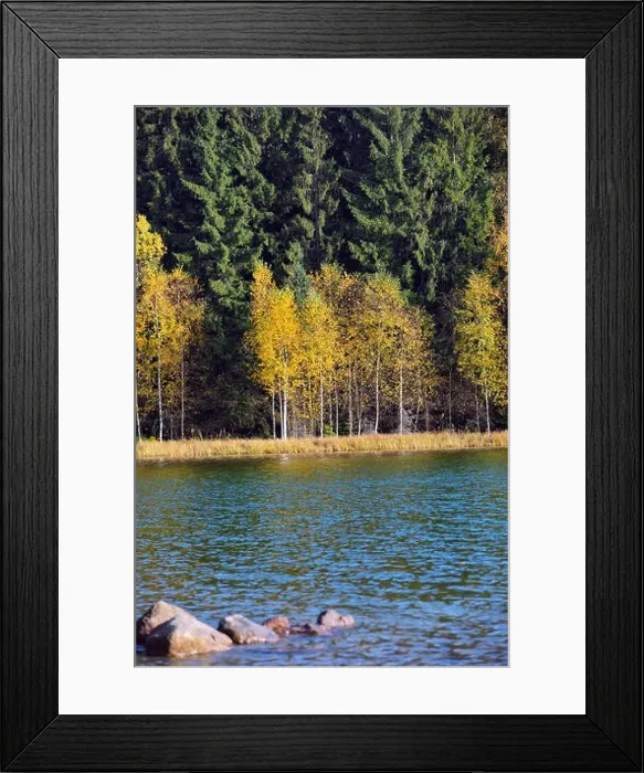 Framed Print : Autumn park landscape. The bright colors of autumn in the park by the lake Framed Print : Autumn park landscape. The bright colors of autumn in the park by the lake