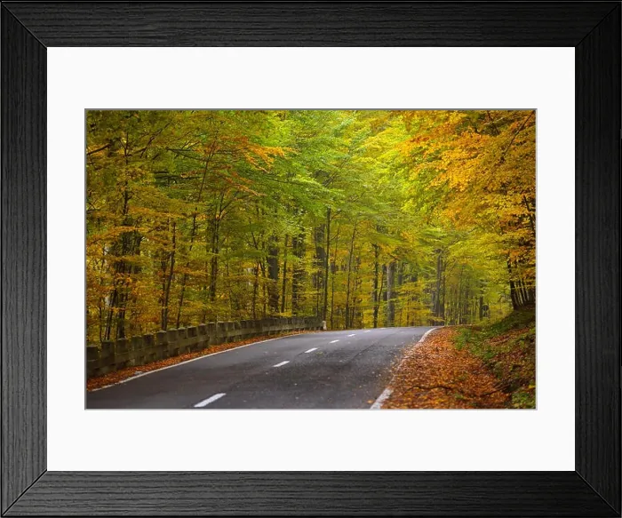 Framed Print : Road in the autumnal forest Framed Print : Road in the autumnal forest