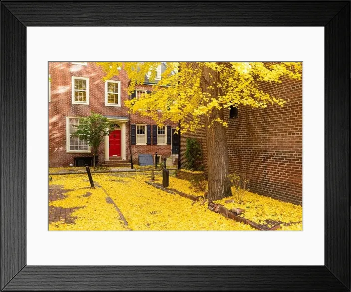 Framed Print : Autumn alleyway in a traditional neighborhood in Philadelphia, Pennsylvania, USA Framed Print : Autumn alleyway in a traditional neighborhood in Philadelphia, Pennsylvania, USA