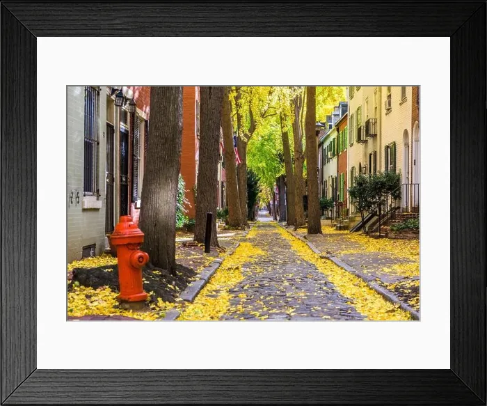 Framed Print : Autumn alleyway in a traditional neighborhood in Philadelphia, Pennsylvania, USA Framed Print : Autumn alleyway in a traditional neighborhood in Philadelphia, Pennsylvania, USA