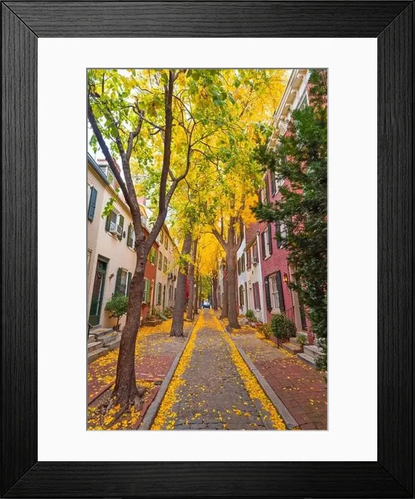 Framed Print : Autumn alleyway in a traditional neighborhood in Philadelphia, Pennsylvania, USA Framed Print : Autumn alleyway in a traditional neighborhood in Philadelphia, Pennsylvania, USA