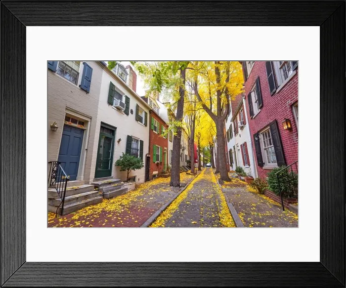 Framed Print : Autumn alleyway in a traditional neighborhood in Philadelphia, Pennsylvania, USA Framed Print : Autumn alleyway in a traditional neighborhood in Philadelphia, Pennsylvania, USA