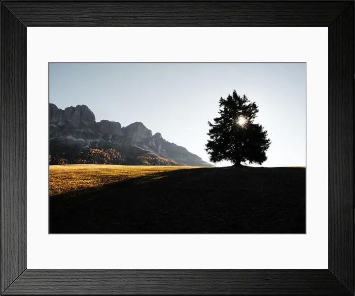 Framed Print : Beautiful rural Italian landscape with autumn meadow, tree silhouette with sun and peaks of high mountains in the background Framed Print : Beautiful rural Italian landscape with autumn meadow, tree silhouette with sun and peaks of high mountains in the background