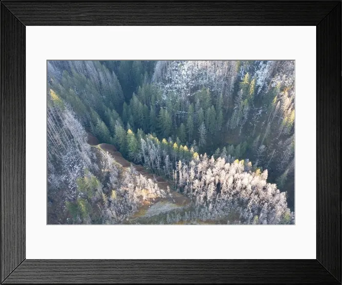 Framed Print : An aerial view shows a snow-covered forest growing over the hills and canyons in the Columbia River Gorge of Oregon Framed Print : An aerial view shows a snow-covered forest growing over the hills and canyons in the Columbia River Gorge of Oregon
